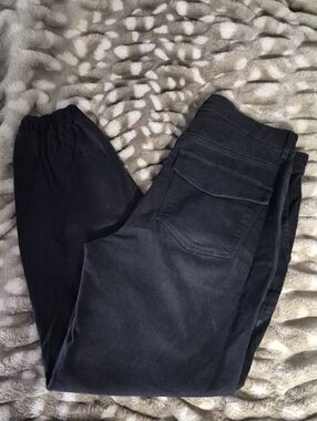 Express Black Pull-On Pants with Elastic Waistband